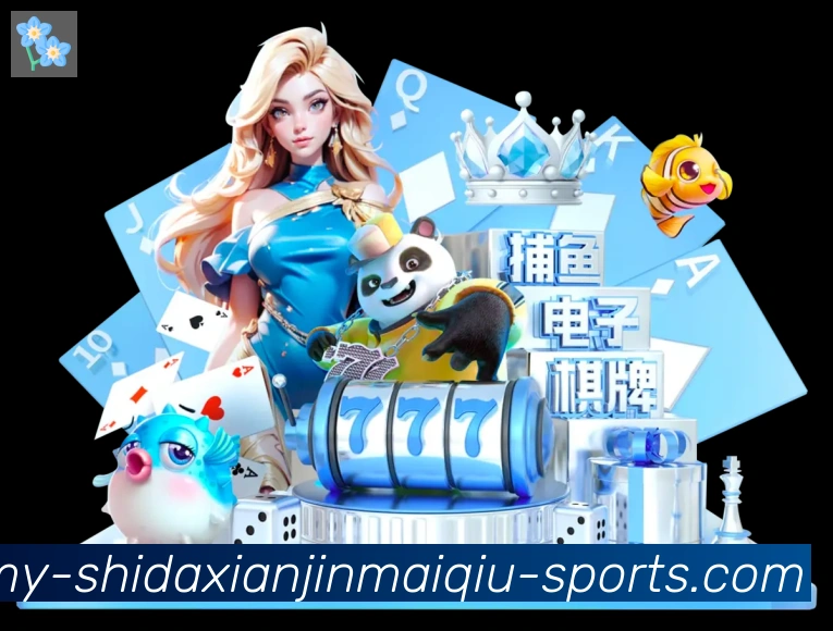 未来规划
